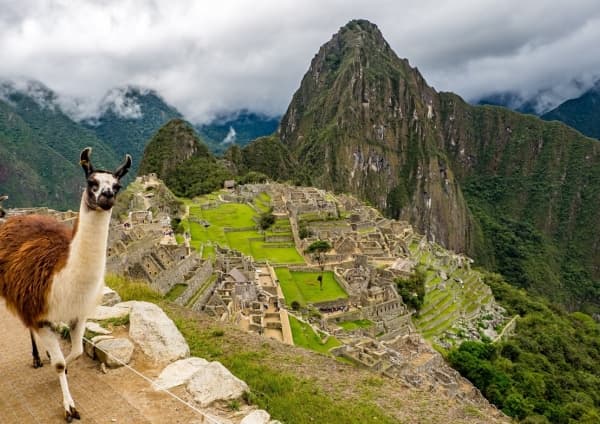 Zdjęcie oferty: PIELGRZYMKA DO PERU